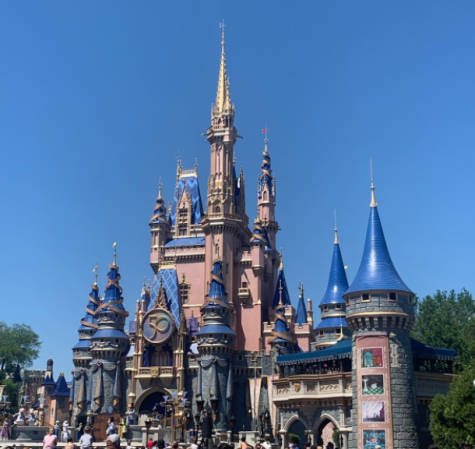 Disney Experience: Reflecting on the Class of 2022 Senior Trip