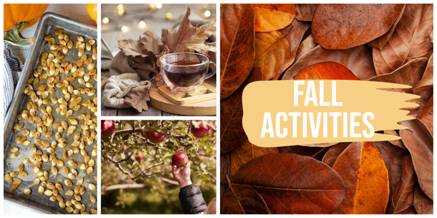 Activities+You+Can+Do+During+The+Fall%2FThanksgiving+Season